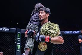 为什么别恋战？（为何应避免恋战？）